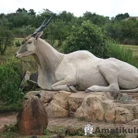 Eland sculpture at Didima Camp – cultural art inspired by San heritage in Drakensberg, KwaZulu-Natal, South Africa