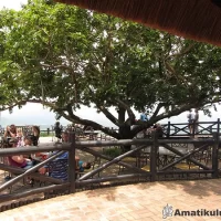 Scenic viewpoint at Hilltop Camp overlooking the rolling hills and wildlife of Hluhluwe-iMfolozi Game Reserve, South Africa