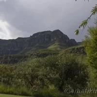 Well-maintained lawn area at Injisuthi Camp surrounded by trees and mountain views in uKhahlamba-Drakensberg Park, South Africa
