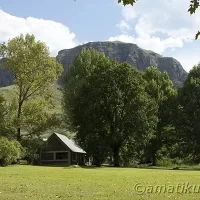 Tall pine trees surrounding parts of Injisuthi Camp, adding shade and character to the mountainous landscape in uKhahlamba-Drakensberg Park, South Africa