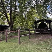 Safari tents at Injisuthi Camp offering rustic accommodation with mountain views in uKhahlamba-Drakensberg Park, South Africa