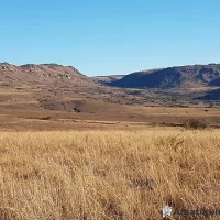 Expansive grasslands in Ithala Game Reserve with rolling hills and diverse wildlife habitats in KwaZulu-Natal, South Africa
