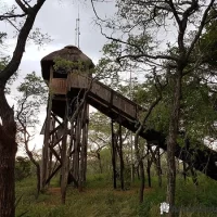 Wooden staircase leading to a bird hide at Ndumo Game Reserve, offering elevated views of wetlands and wildlife in KwaZulu-Natal, South Africa