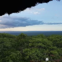 View from a bird hide at Ndumo Game Reserve overlooking a wetland area rich in birdlife and wildlife in KwaZulu-Natal, South Africa