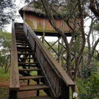 Bird hide at Ndumo Game Reserve overlooking wetlands, ideal for birdwatching and wildlife observation in KwaZulu-Natal, South Africa
