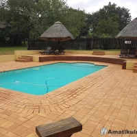 Swimming pool at Ndumo Game Reserve surrounded by natural bushveld, offering guests a place to relax and cool off in KwaZulu-Natal, South Africa
