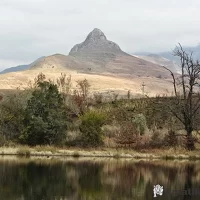 Trout dam near Thendele Camp in Royal Natal National Park with scenic Drakensberg mountain backdrop